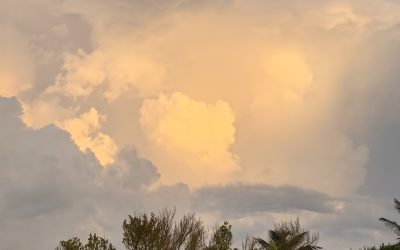 El clima en El Cuyo
