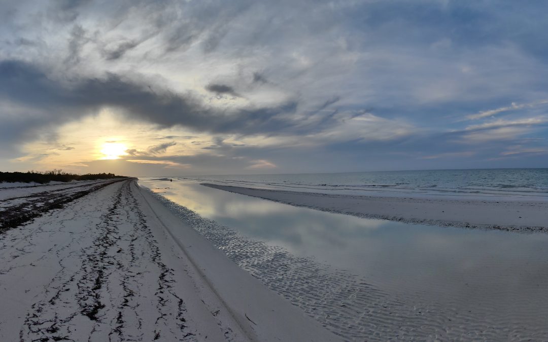 EL CUYO CAN COCAL: UN PASEO POR LA PLAYA