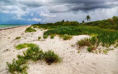 Cómo llegar a El Cuyo desde Cancún